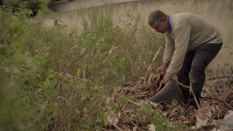 Ações integradas buscam eliminar os focos do mosquito transmissor em Dourados e no Estado