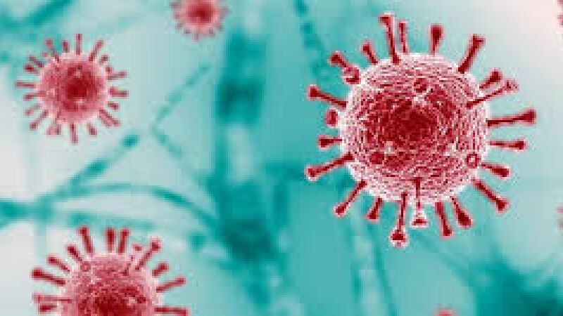 nova variante da Covid-19 está presente em 23 países