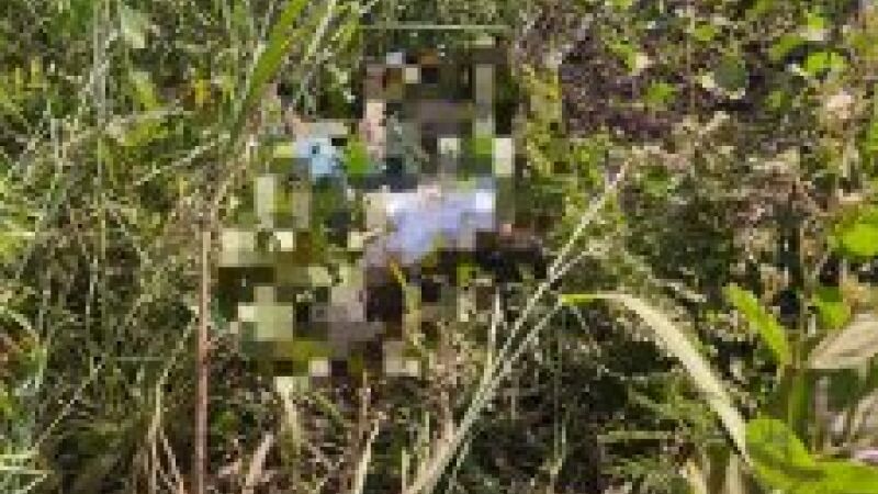 Jovem é torturado e morto com 32 facadas em MS; polícia prende sete suspeitos pelo crime