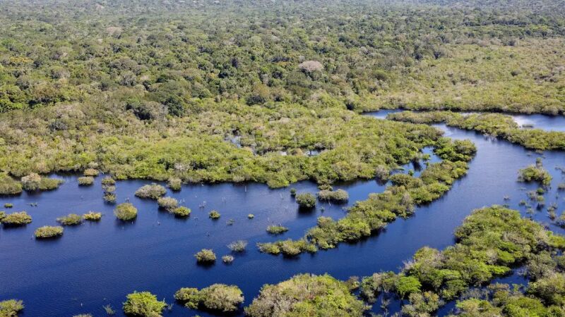 Produtores que preservarem o Pantanal receberão subsídio do governo