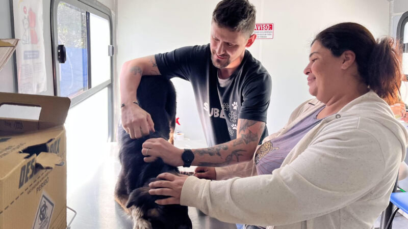 O microchip armazena um número único, lido por aparelho específico e vinculado aos dados do tutor