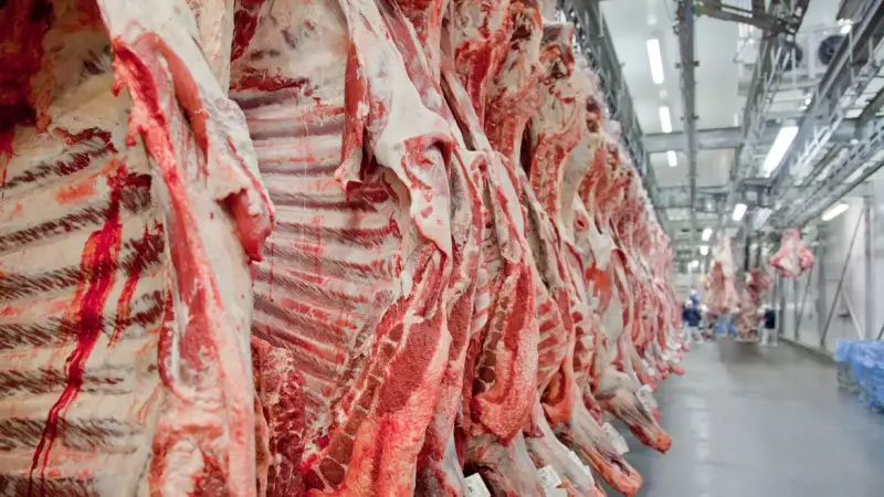 Entidades e pecuaristas demonstram preocupação com possíveis impactos econômicos após União Europeia barrar Brasil da lista de exportadores de proteína animal