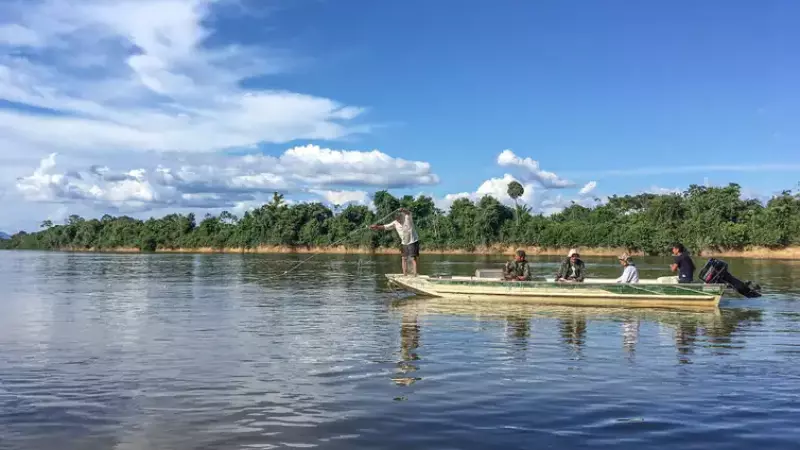 Queda no desmatamento do Pantanal coincide com a aprovação de lei mais restritiva para supressão de vegetação nativa no bioma Pantanal
