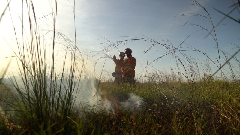 Capacitação em Corumbá apresenta ferramenta que auxilia no planejamento e prevenção de incêndios no Pantanal