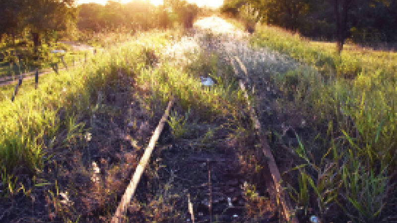 A malha ferroviária está abandonada há algumas décadas