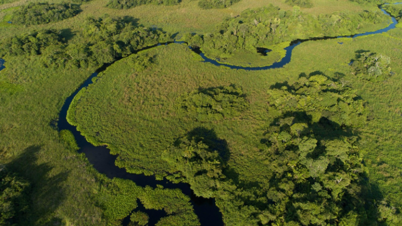 Proposta do ICMBio prevê criação do Refúgio de Vida Silvestre Delta do Salobra em área de 60,7 mil hectares na região da Serra da Bodoquena e do Pantanal