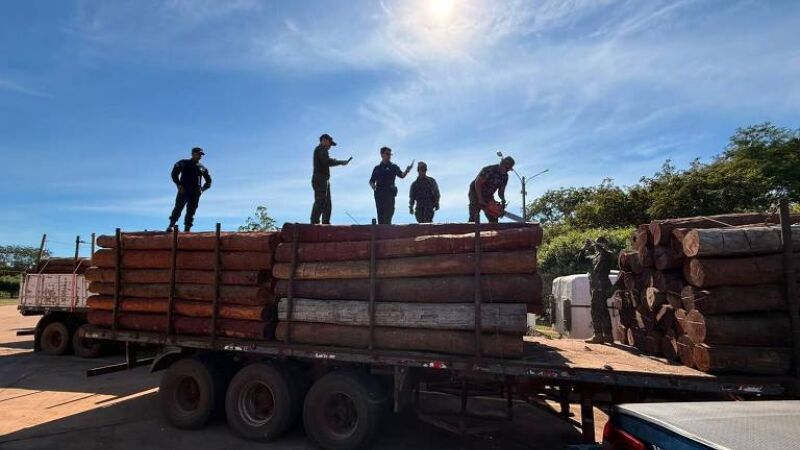 Cocaína estava escondida em carga de madeira, distribuída em oito caminhões