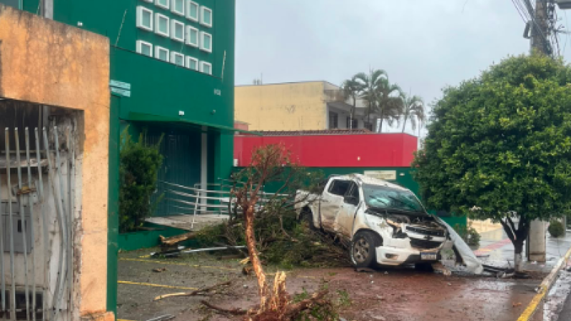 Impacto da batida lançou a motociclista ao solo; motorista perdeu o controle da caminhonete e atingiu uma árvore