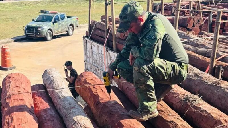 Carga de 260 toneladas de madeira estava foi apreendida em Corumbá e Cuiabá (MT)
