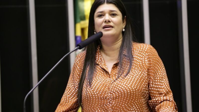 Rose Modesto enquanto deputada federal 