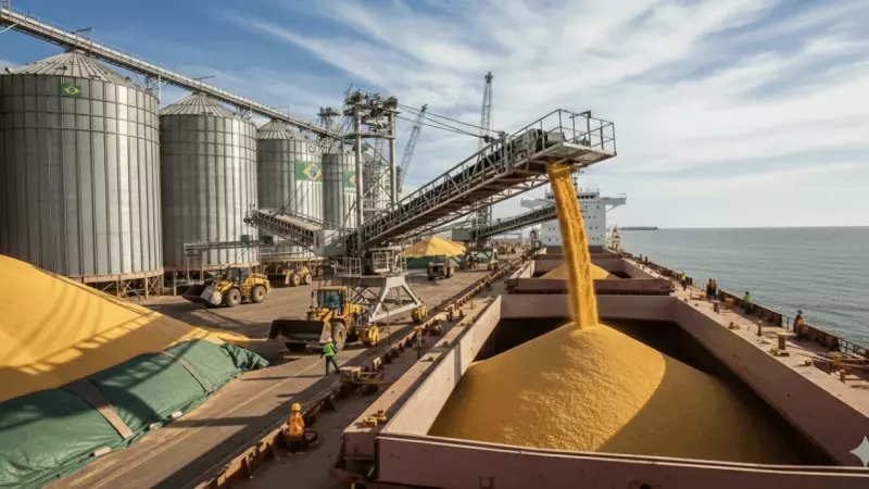 Sozinho, o Brasil fornece mais de 60% de toda a soja importada pelos chineses, que querem passar a produzir