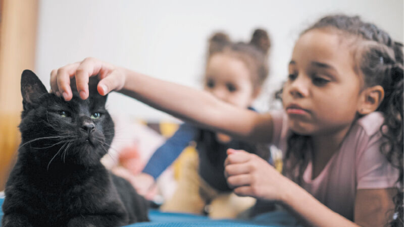 Com a presença constante das crianças em casa e as mudanças na rotina durante as férias escolares, animais de estimação tendem a ficar estressados