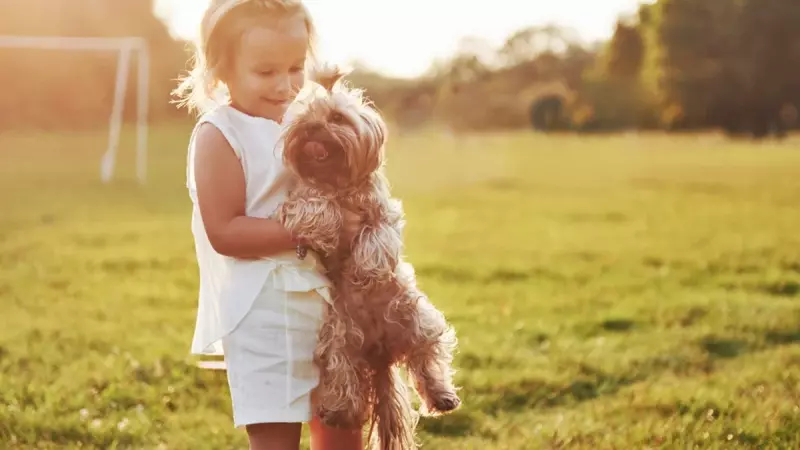 Férias escolares: 6 cuidados para evitar estresse em cães e gatos durante o período