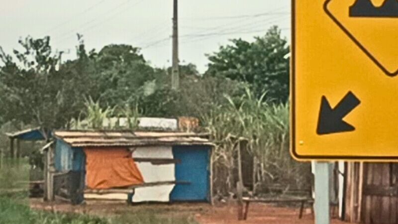 Moradia improvisada instalada às margens da MS-141, em Mato Grosso do Sul.
