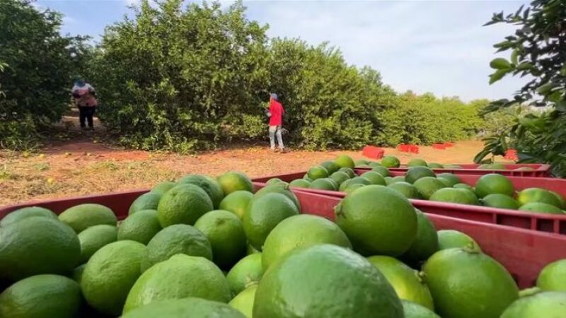 Juíza rejeitou os pedidos da defesa para exclusão dos envolvidos da chamada 