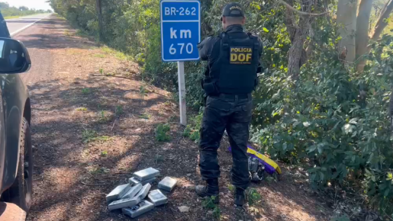 Cocaína 'largada' em vegetação na BR-262/MS