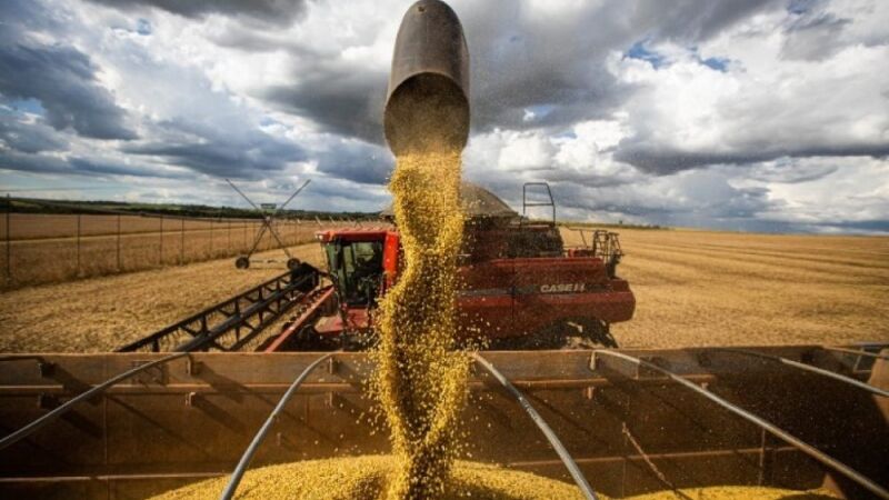 Entre 20% e 25% da soja colhida em MS na última safra ainda está disponível e está sendo beneficiada pela melhora nos preços