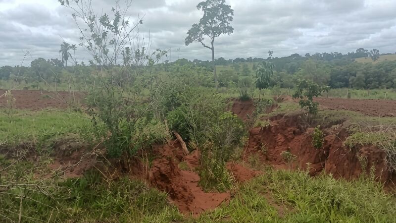 Degradação ambiental será investigada pelo MPMS