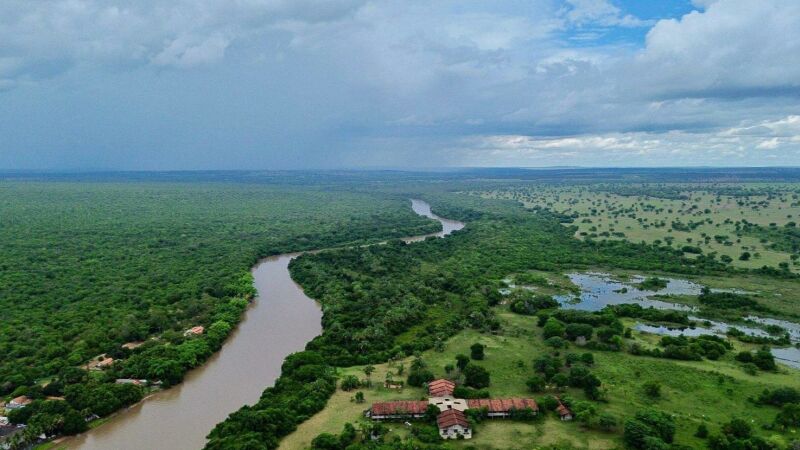 Vista aérea do Pantanal de Mato Grosso do Sul, região onde a FAB realiza operação de busca por aeronave.