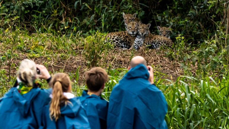 Passeios em meio à natureza pantaneira fazem a alegria de turistas ao permitirem o avistamento da fauna e flora local