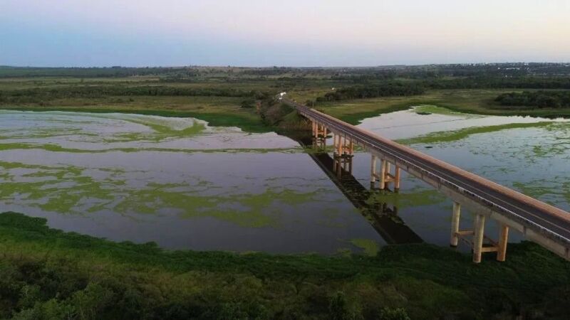 Quantidade de plantas aquáticas próximo à ponte da MS-395, perto de Bataguassu, aumenta dia após dia