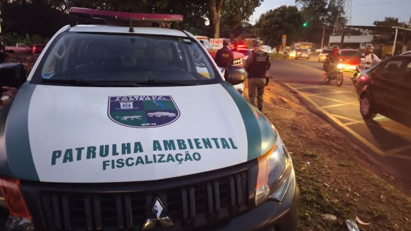 Equipes da Planurb, Semades, Guarda Civil, Polícia Militar e Energisa participaram da ação