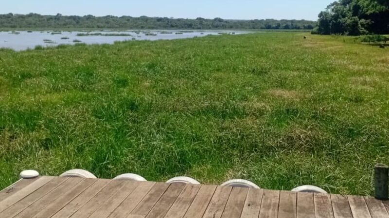Por conta das plantas aquáticas, ranchos das margens do lago da hidrelétrica perderam o valor e estão praticamente abandonados desde o ano passado