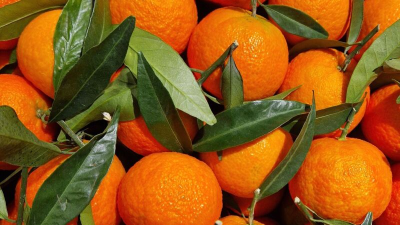 Entre os inúmeros benefícios da tangerina, estão a ação antioxidante e anti-inflamatória