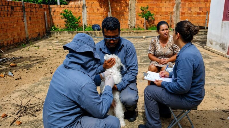 Agentes devem passar por cerca de 300 casas 