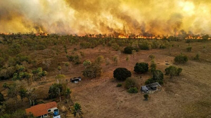 Incêndios e queimadas no Pantanal estão entre os casos que poderão ter atuação da nova unidade especializada criada pelo MPMS.
