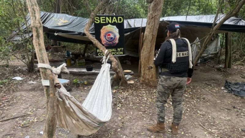 Agentes da SENAD em plantação de maconha