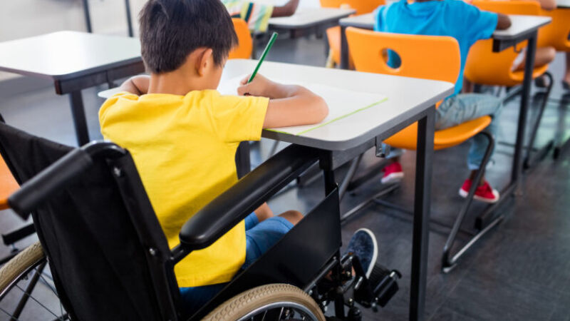 MS se destaca em escolas com acessibilidade e profissionais de apoio a pessoas com deficiência