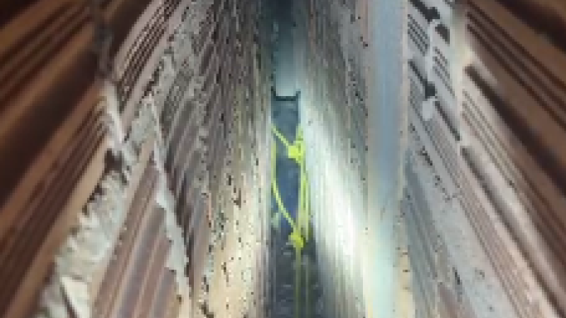 Cachorrinha presa em um corredor apertado