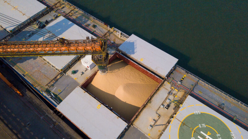 Porto de Santos é o principal canal de escoamento e exportação de produtos de Mato Grosso do Sul