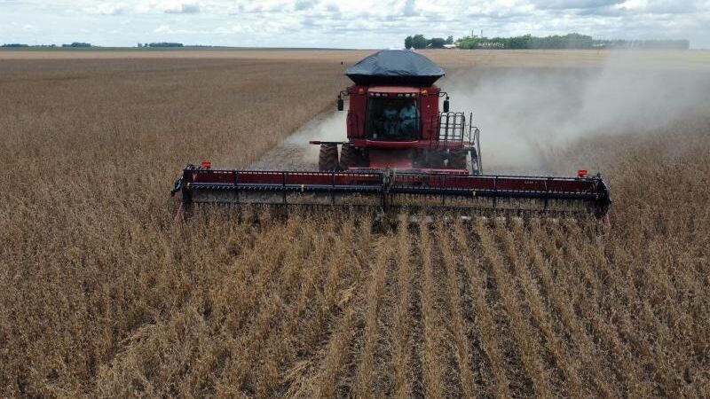 Imagem de lavoura ilustra a produção agrícola em Mato Grosso do Sul; foto não foi registrada na propriedade que teve o processamento da recuperação judicial autorizado pela Justiça.