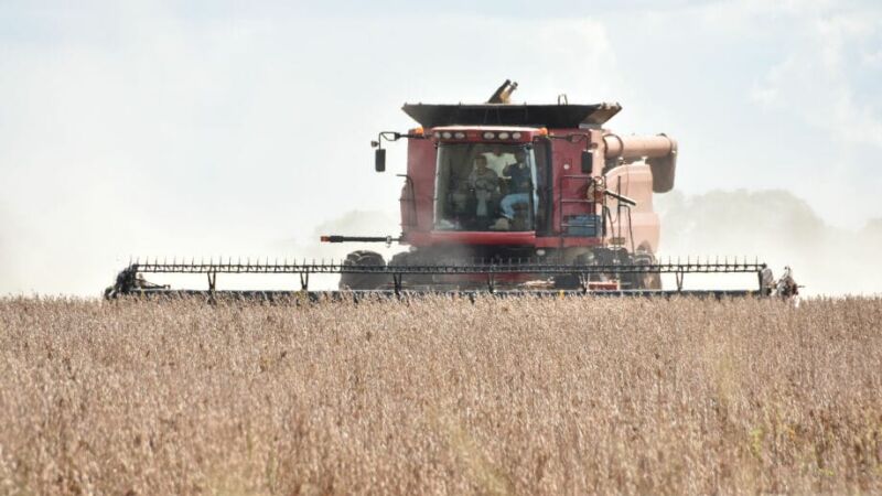 Colheita de soja em Mato Grosso do Sul; Estado produziu 13,1 milhões de toneladas do grão em 2025 e manteve a quinta posição no ranking nacional.