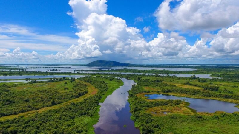 Pantanal registrou redução de 77,6% na área queimada em 2026 na comparação com a média histórica entre 2012 e 2025.