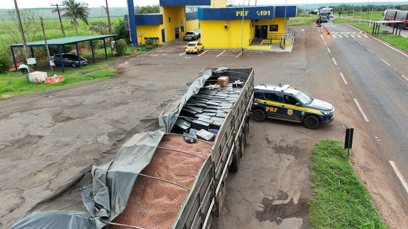 Caminhão transportava cerca de 6,3 toneladas de maconha escondidas em meio a uma carga de sementes de sorgo.