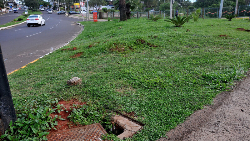 Novas parcerias preveem serviços de limpeza, conservação, manutenção e paisagismo em áreas públicas de Campo Grande
