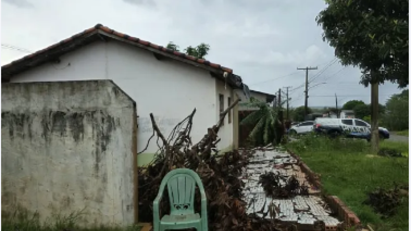 Força do vento derrubou árvores, fios e destelhou casas em Amambai