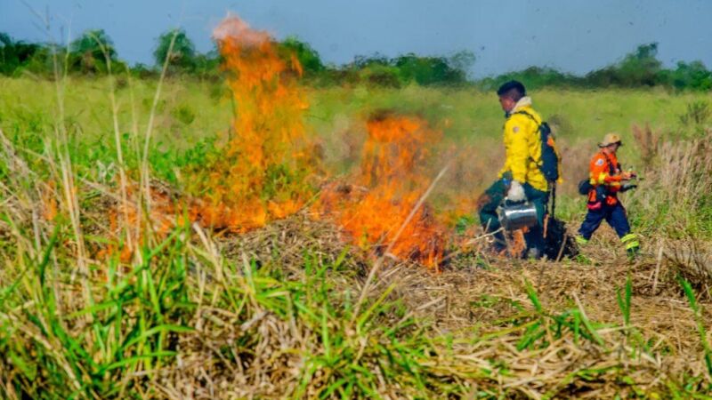 Apesar da redução, ainda ocorreram focos de incêndios no Pantanal