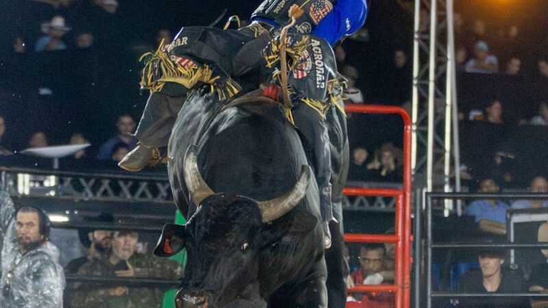 Rodeio Professional Bull Ridersm(PBR)