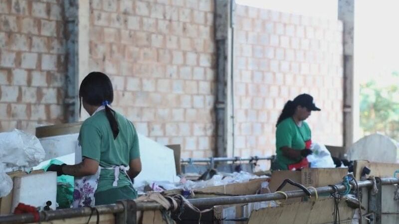 Catadores realizam separação de materiais recicláveis em unidade de triagem de Campo Grande; ação pede remuneração pelo serviço prestado.