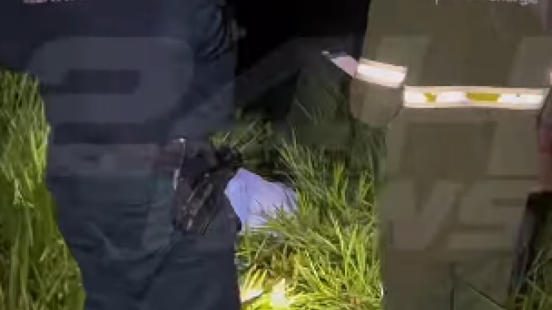 Homem morto eletrocutado caído na grama