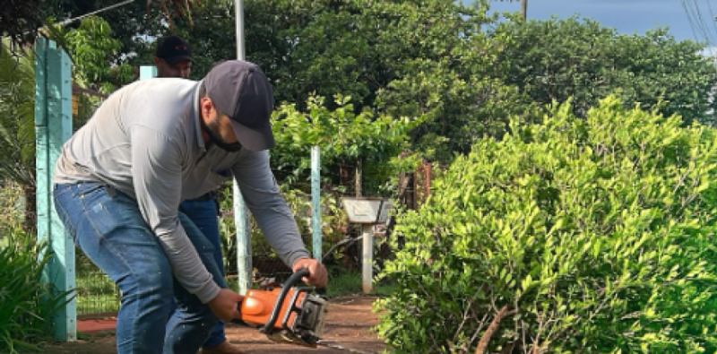 Em Sidrolândia, município que recebe investimentos do setor de citricultura, a administração municipal fez um mutirão para erradicação da planta