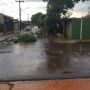Clima de chuva repentina e ventos fortes deixam estragos pelo interior de Mato Grosso do Sul