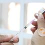 Pfizer Baby, vacina destinada a crianças de 6 meses a 2 anos, chega nesta sexta em MS