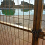 No papel desde 2021, finalização de piscina olímpica começa em 2023 