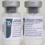 Vacina contra a dengue do Butantan alcança 79,6% de eficácia em testes