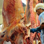 Mal da vaca louca no Pará trava mercado do boi no Brasil